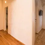 Harmony فيلة ريسيكا